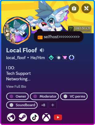 Discord Profile